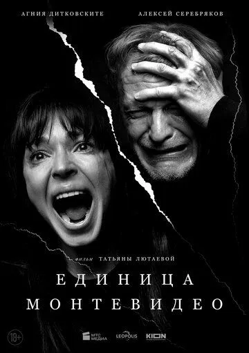 Одиниця Монтевідео