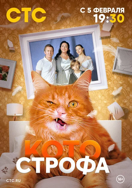 Котастрофа