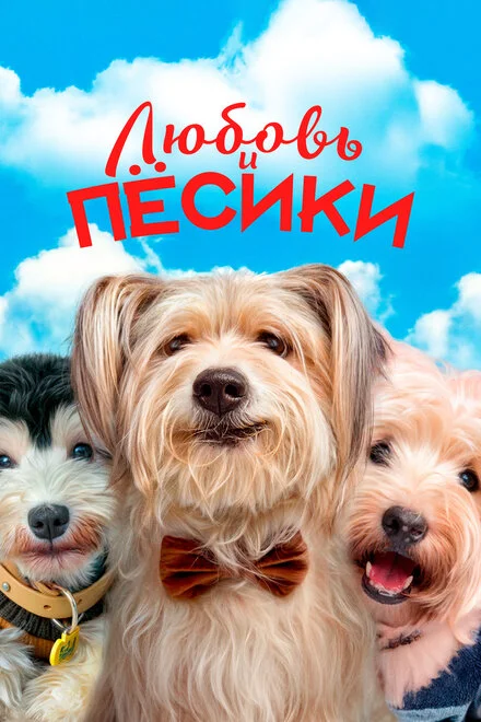 爱犬奇缘