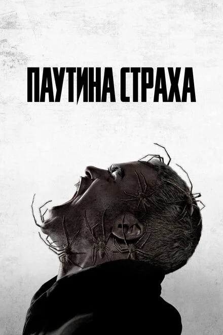Павуче лігво