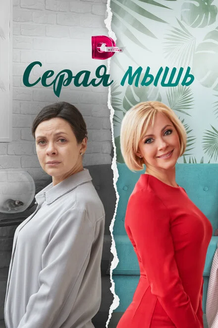 Сіра миша