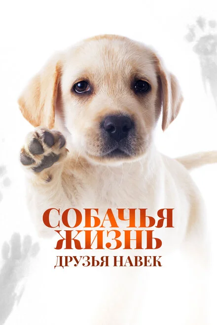 Собаче життя: Друзі назавжди