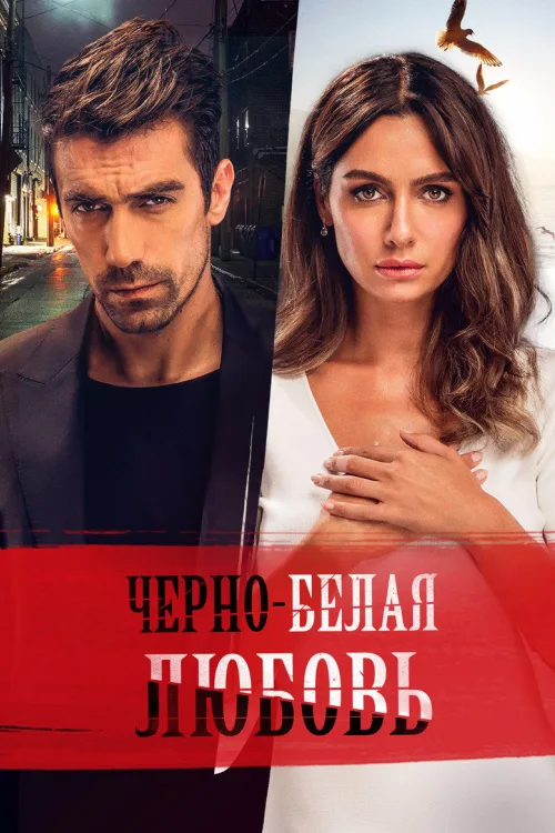 Чорно-біле кохання