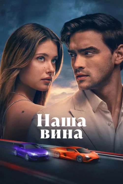 Наша провина