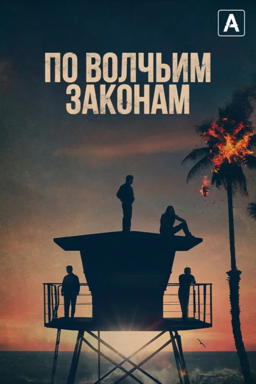 За законами вовків