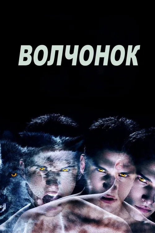 Вовченя 1-6 сезон